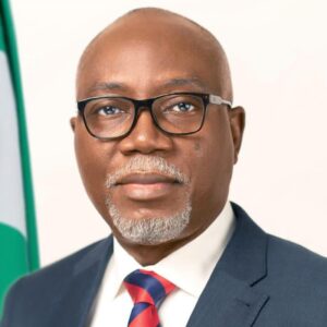 His Excellency Lucky Aiyedatiwa