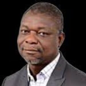 Toyin Akinosho, FNAPE